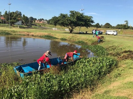 Limpeza no lago do Espelho D'�gua 