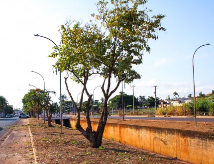 Manutenção da Avenida Durval Rodrigues Lopes