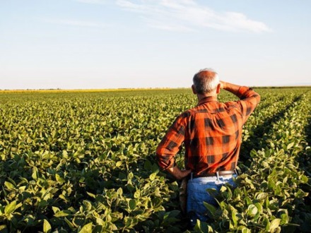 Come�ou na segunda o prazo para entrega da declara��o de propriedade rural 