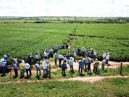 Nova fronteira agr�cola com a cultura de soja abre perspectivas em Parana�ba