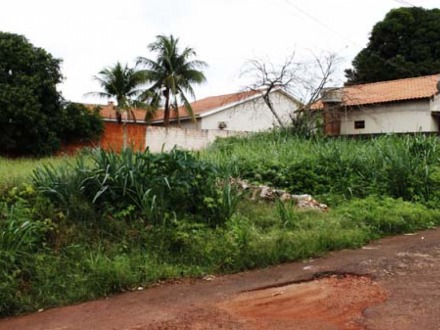 Proprietários de terrenos sujos serão multados a partir de 1º de fevereiro