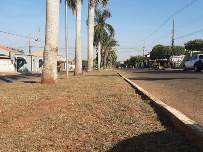 Avenida Getúlio Vargas recebe limpeza dos canteiros e poda