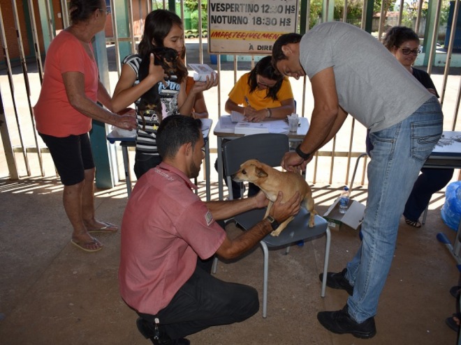 Campanha contra raiva imuniza cerca de sete mil animais