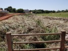 Prefeitura limpa margens do Córrego dos Buritis