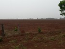 Prefeitura realiza gradea��o no Assentamento Serra