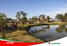 Apresenta&ccedil;&atildeo da Esquadrilha da Fuma&ccedil;a