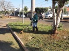 Avenida Getúlio Vargas recebe limpeza dos canteiros e poda
