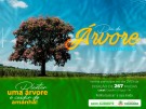 Meio Ambiente celebrará “Dia da Árvore” com doações de mudas no Espelho d’Água