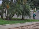Grama � aparada no Terminal Rodovi�rio