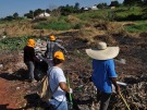 Controle de endemias realiza mutir�o no Bairro Daniel II 