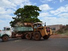 Pra�a recebe limpeza no Santa L�cia