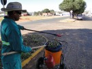Prefeitura intensifica servi�o de limpeza no munic�pio