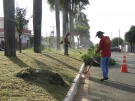 Prefeitura realiza servi�os de limpeza na Av. Get�lio Vargas