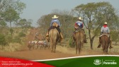 2� Cavalgada de Taunay - 3� Trecho - At� o Alto Santana