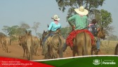 2� Cavalgada de Taunay - 3� Trecho - At� o Alto Santana