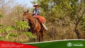 2� Cavalgada de Taunay - 3� Trecho - At� o Alto Santana