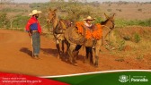 2� Cavalgada de Taunay - 3� Trecho - At� o Alto Santana