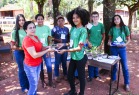 Festival Coopera Cerrado