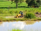 Prefeitura incentiva pequenos produtores do munic�pio