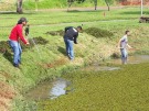 Prefeitura retira plantas aqu�ticas do Espelho D��gua  e pede an�lise de amostras 